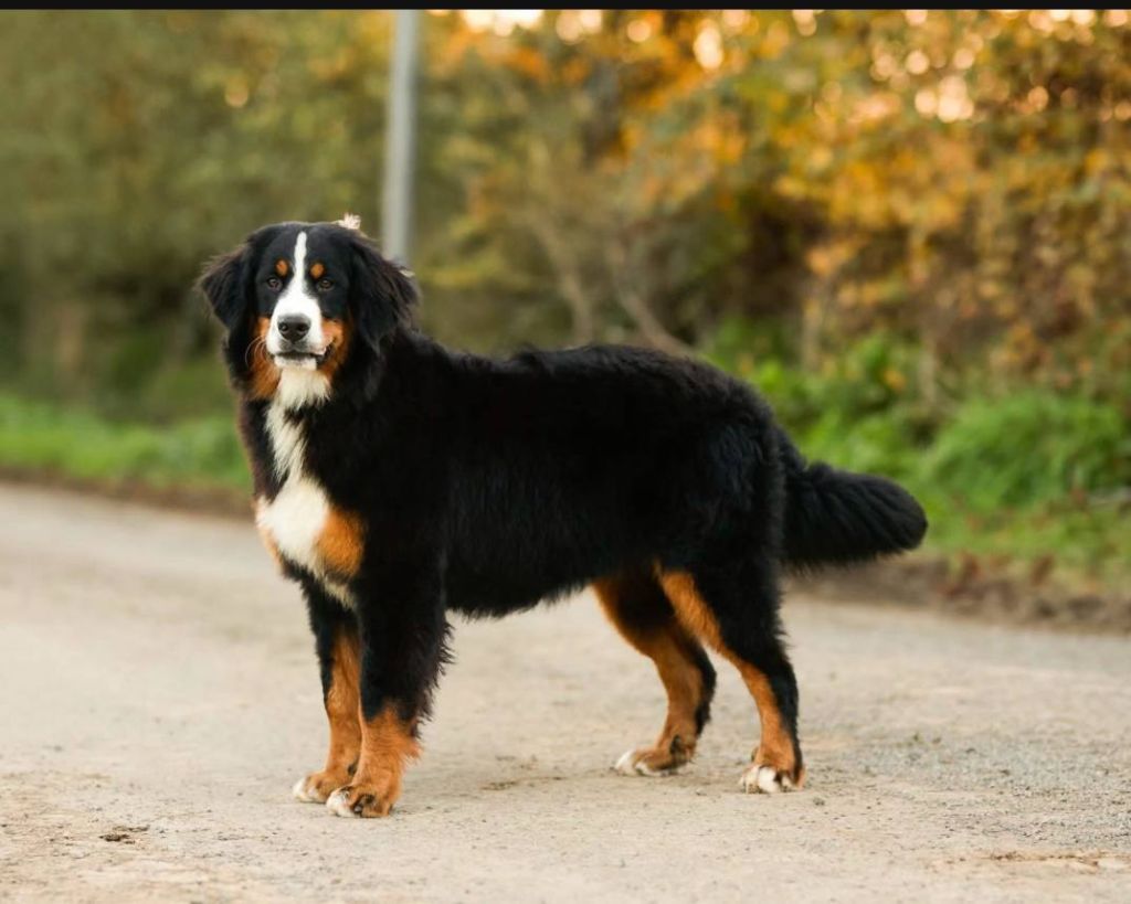 Voie lactee de la Vallée de l'Hyrome