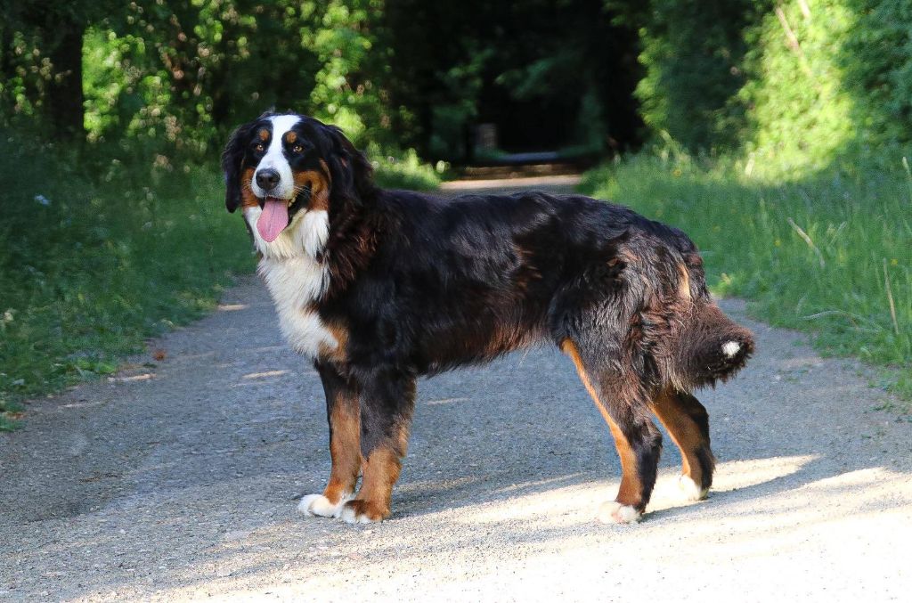 Vicky de la Vallée de l'Hyrome